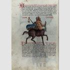 Sternbilder, astrologische ...