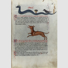 Sternbilder, astrologische ...