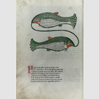 Sternbilder, astrologische ...