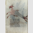 Sternbilder, astrologische ...