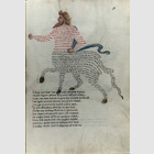 Sternbilder, astrologische ...