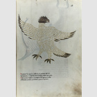 Sternbilder, astrologische ...