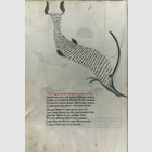 Sternbilder, astrologische ...