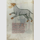 Sternbilder, astrologische ...