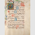Initiale, Rankwerk