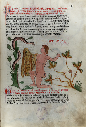 Codex_146_008r