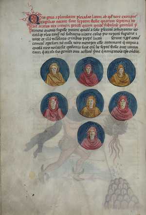 Codex_146_013v