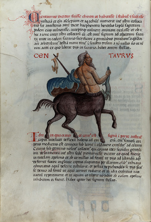 Codex_146_015v