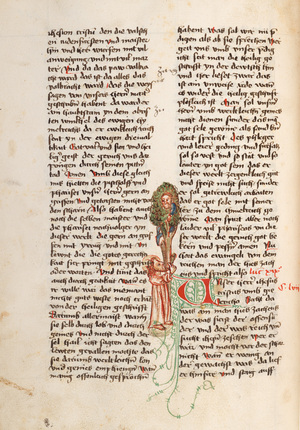 Codex_222_231v
