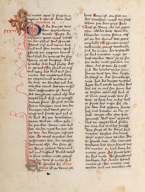 Codex_222_41v